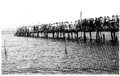 仲津桟橋
